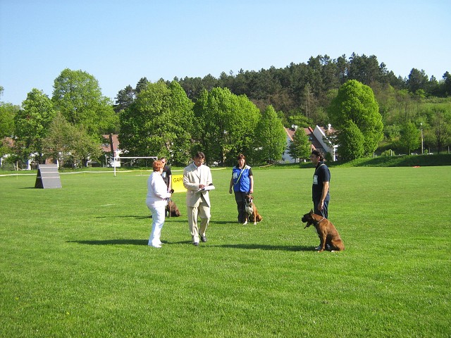 www.atibox.net * www.euroboxer.eu * www.boxergenealogia.eu